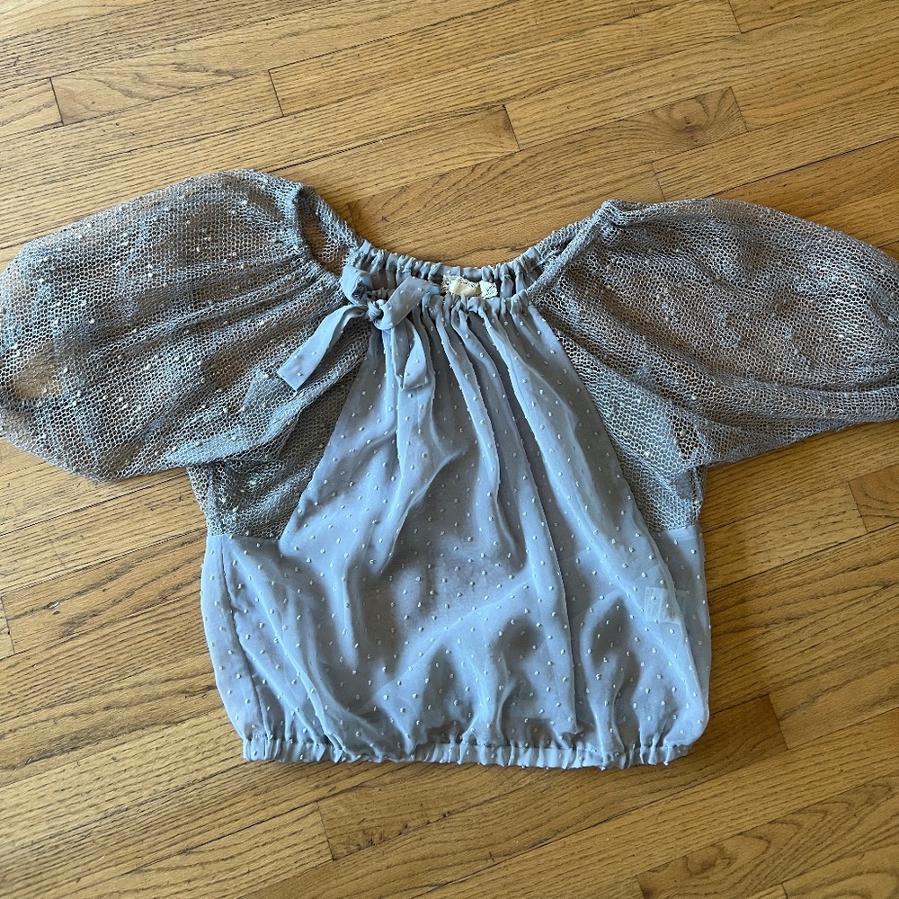 Sheer gray Areve blouse